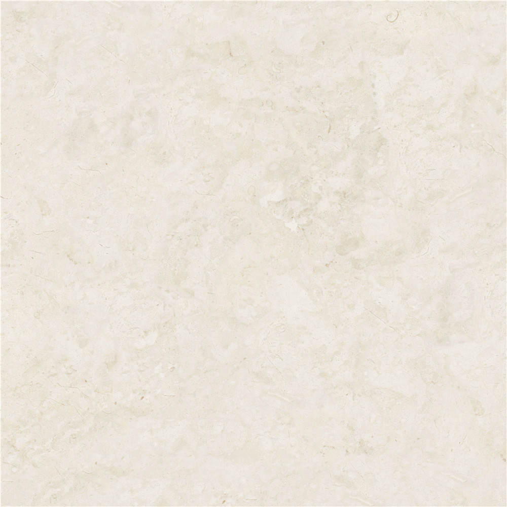 YHDG80013 ZIVAS水印米黃